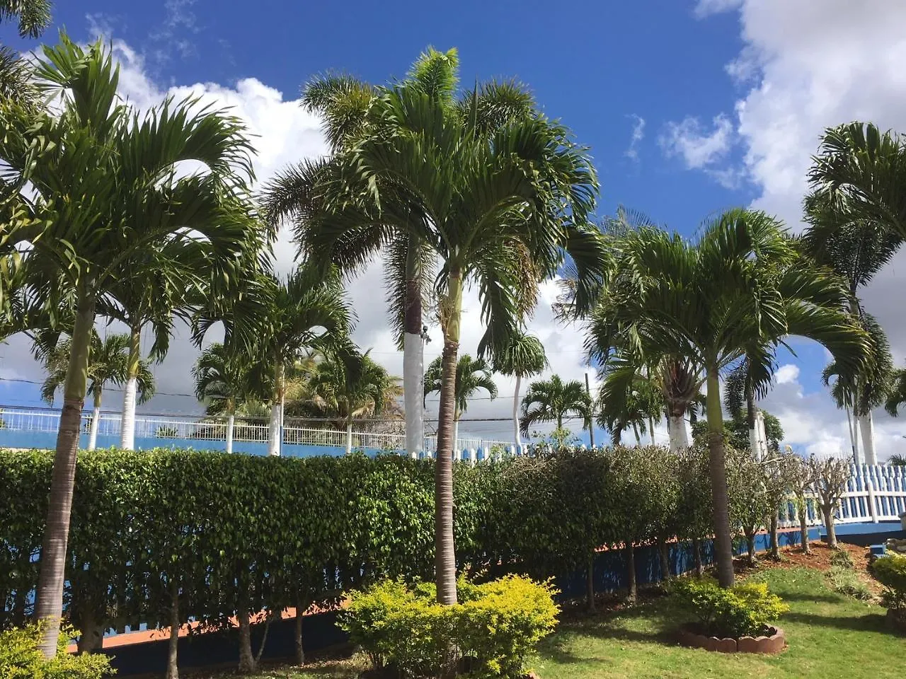 Tropics View Jamaica Ξενοδοχείο Hatfield Τζαμάικα